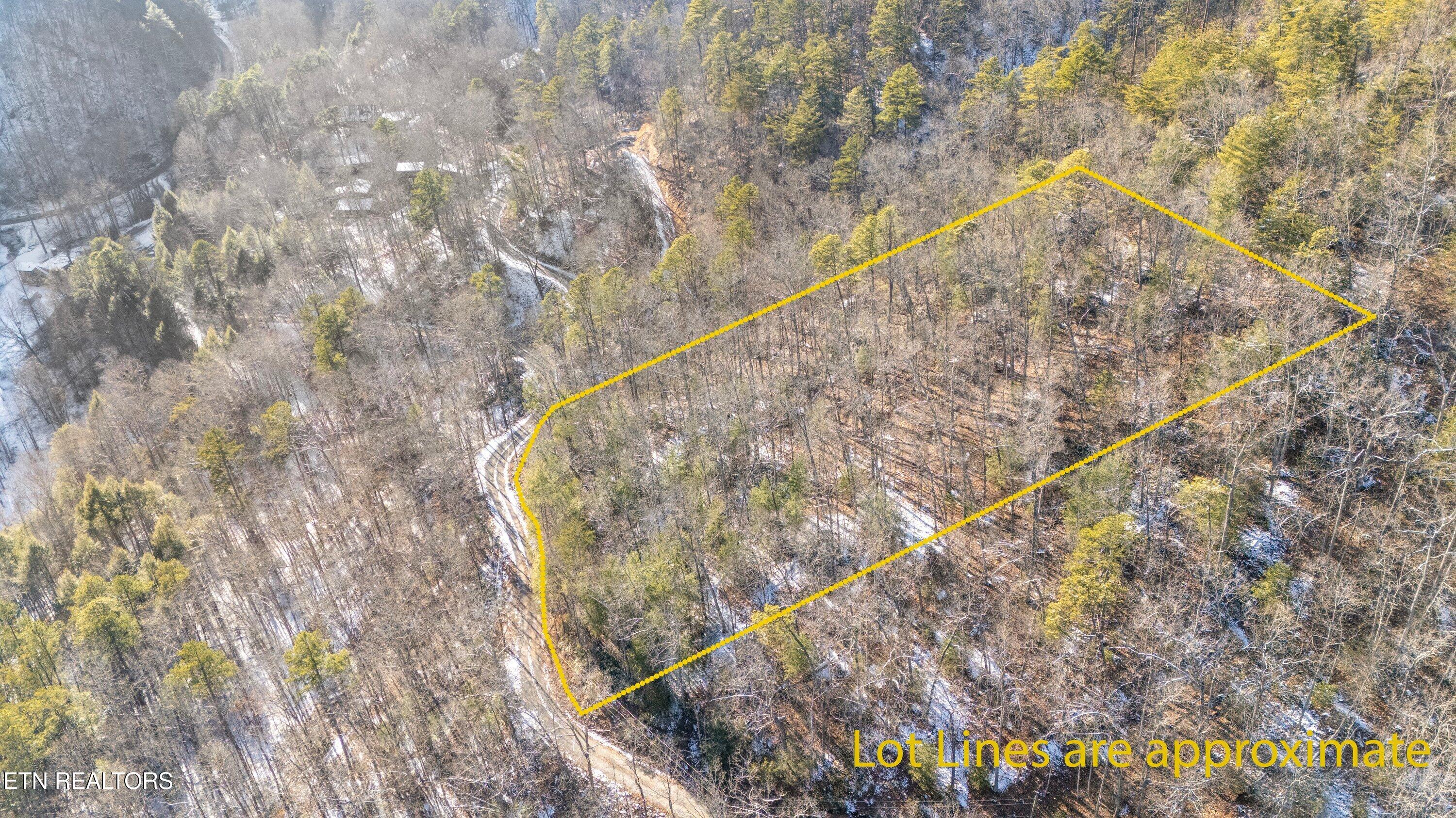 Lumber Jack Way Sevierville, TN 37876 - Photo 2 of 8 Lot 6 Timberline