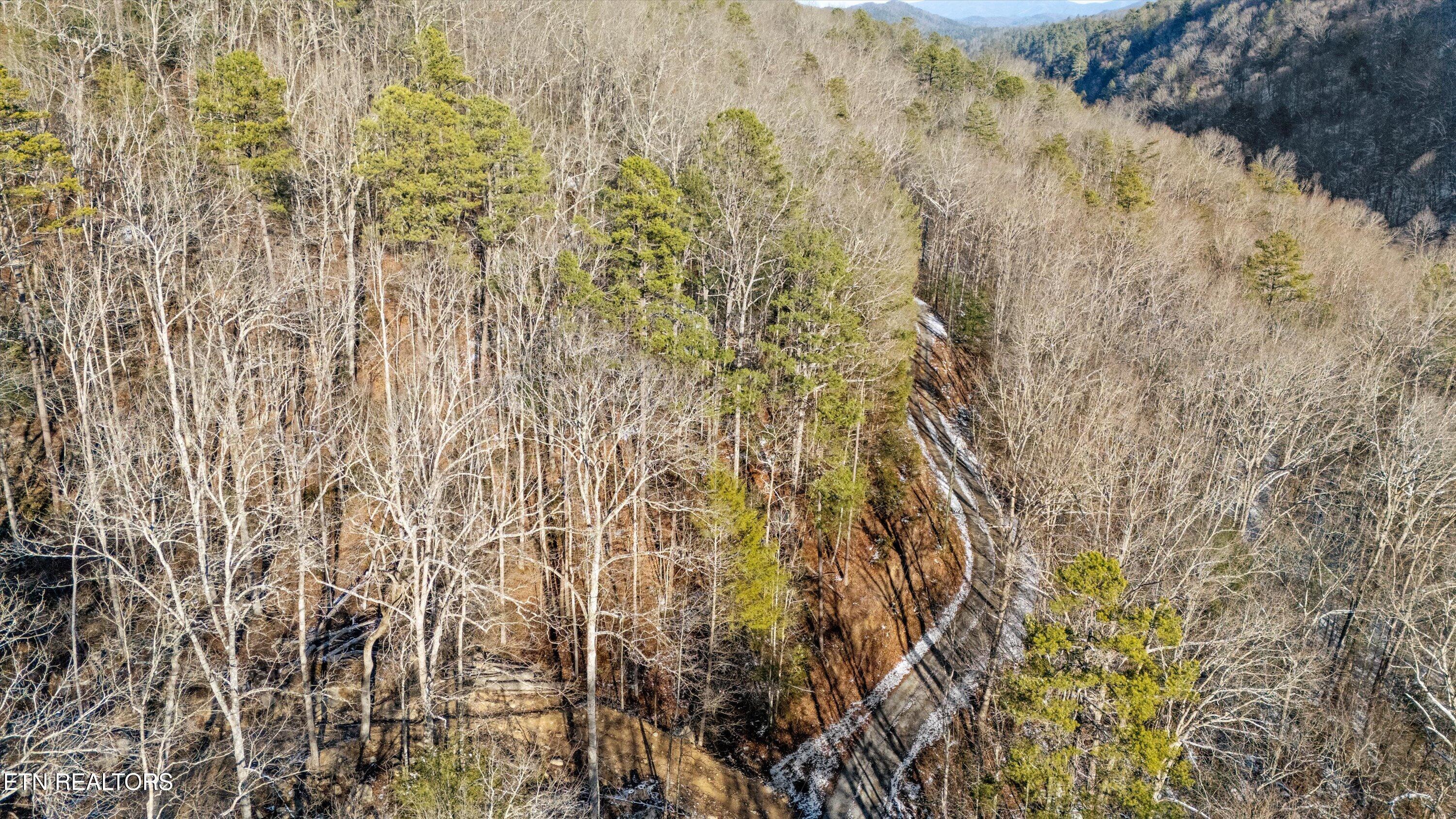 Lumber Jack Way Sevierville, TN 37876 - Photo 3 of 8 Lot 6 Timberline