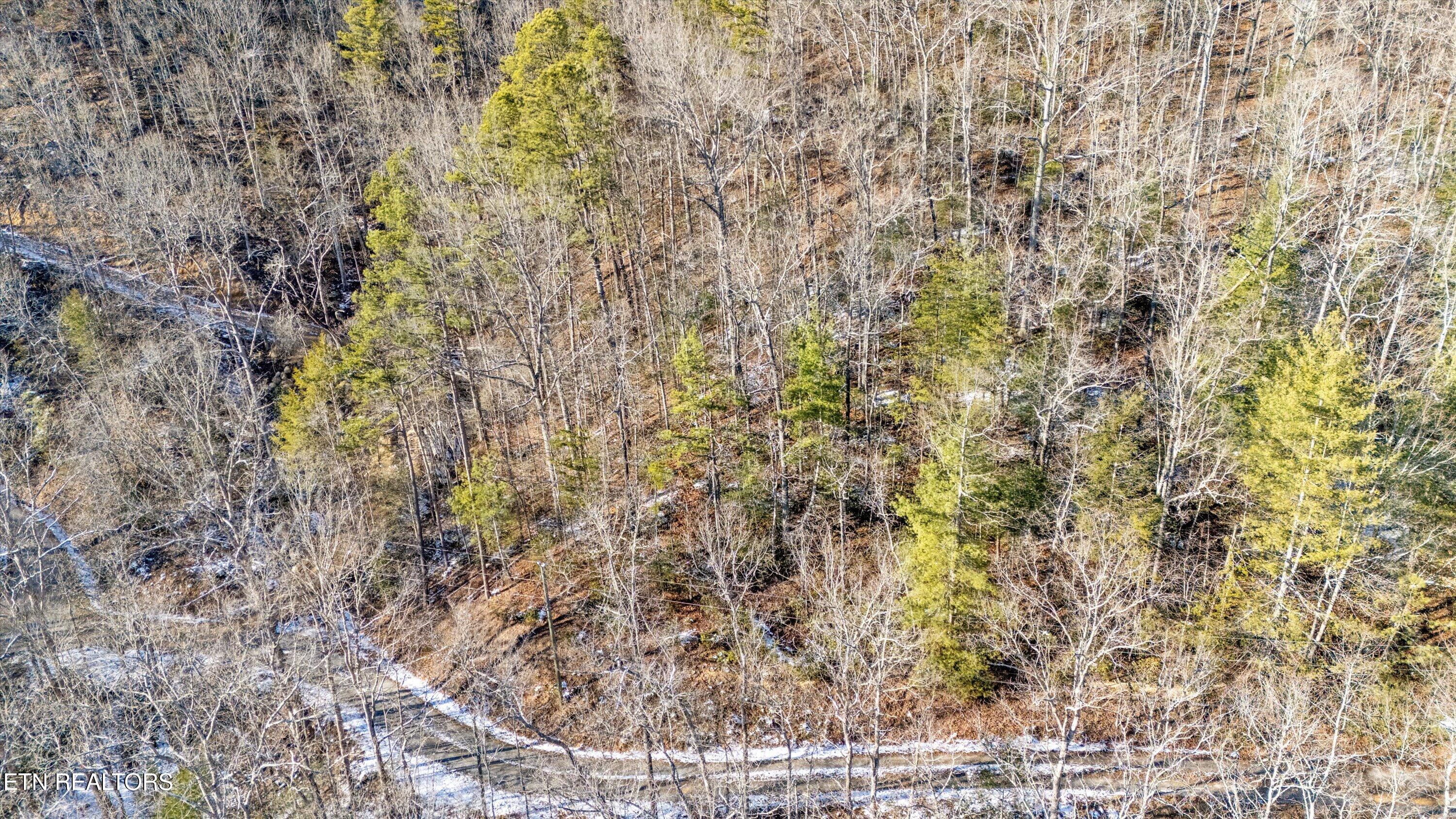 Lumber Jack Way Sevierville, TN 37876 - Photo 4 of 8 Lot 6 Timberline