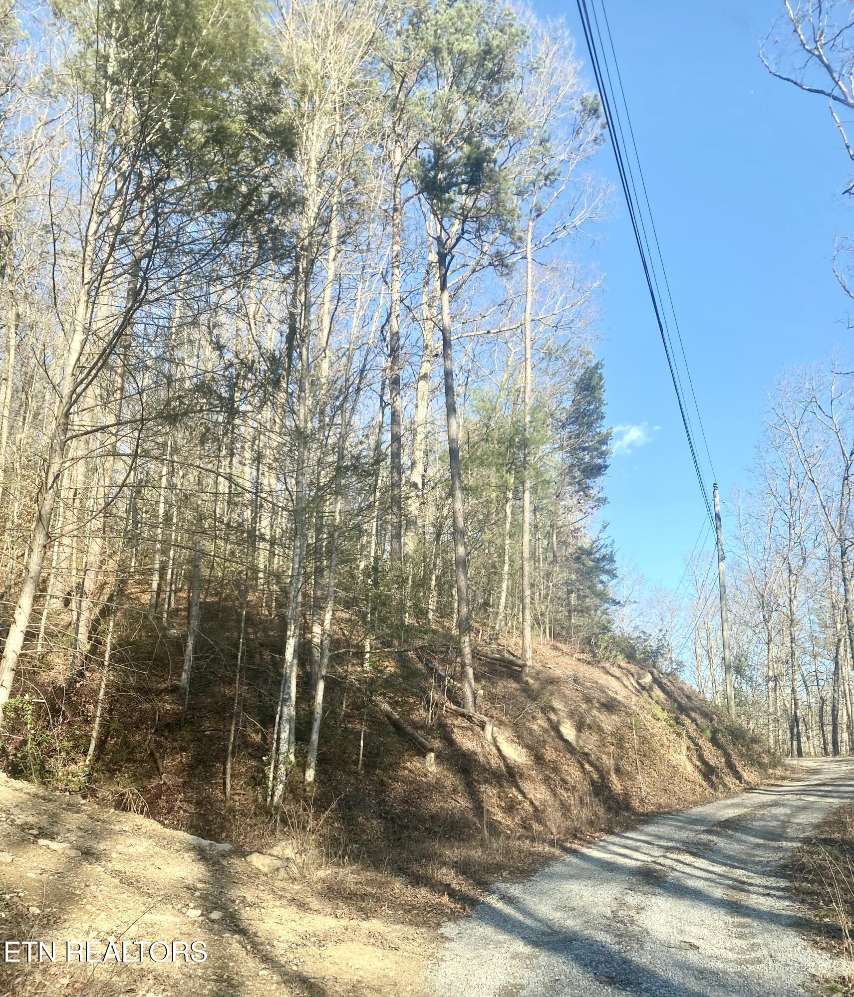 Lumber Jack Way Sevierville, TN 37876 - Photo 5 of 8 IMG_5318