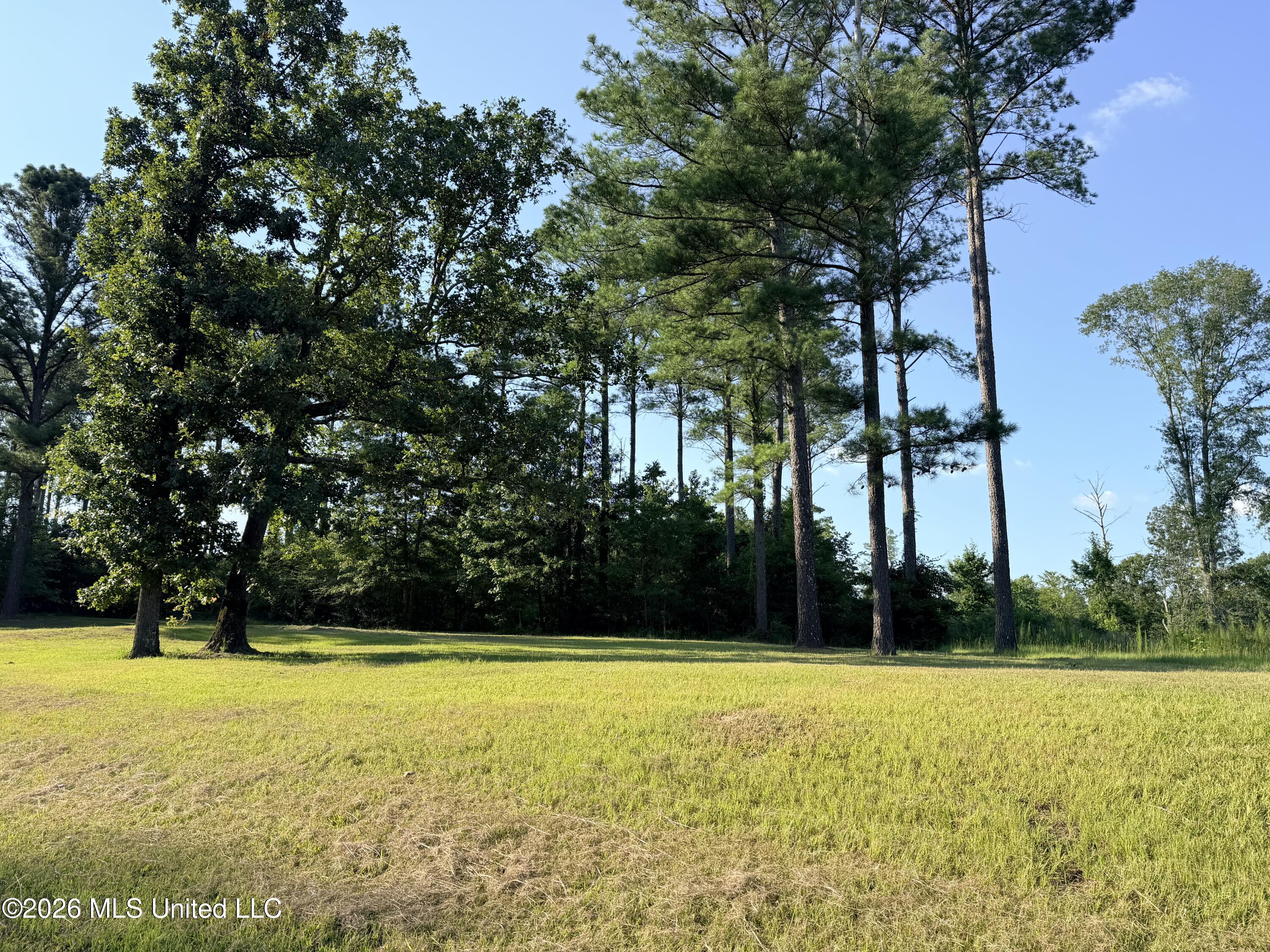 Lake Springwater Drive Brandon, MS 39042 - Photo 1 of 10 IMG_3633
