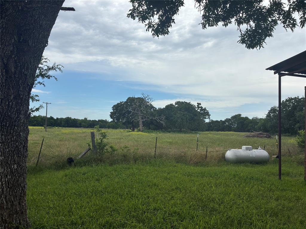 101 County Road 120 C Riesel, TX 76682 - Photo 3 of 7 Beautiful large trees