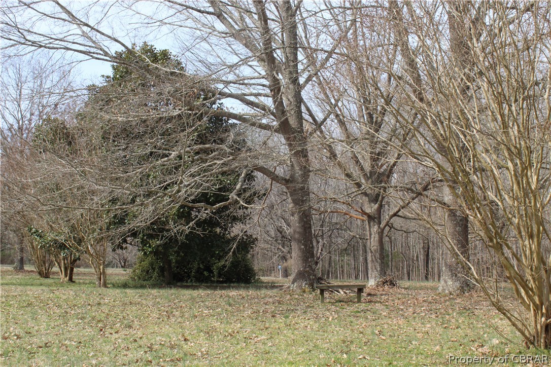 0 Lees Neck Farm Road Saluda, VA 23149 - Photo 7 of 7