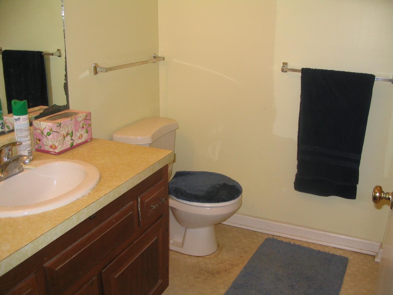 3235 Rasmont Road Roanoke, VA 24018 - Photo 11 of 15 Downstairs Full Bath