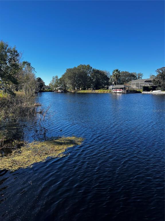 3430 Lake Diane Road Tavares, FL 32778 - Photo 17 of 21 a view of a lake with houses