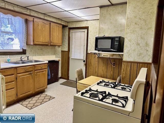 102 South 4th Street Virginia, MN 55792 - Photo 5 of 14
