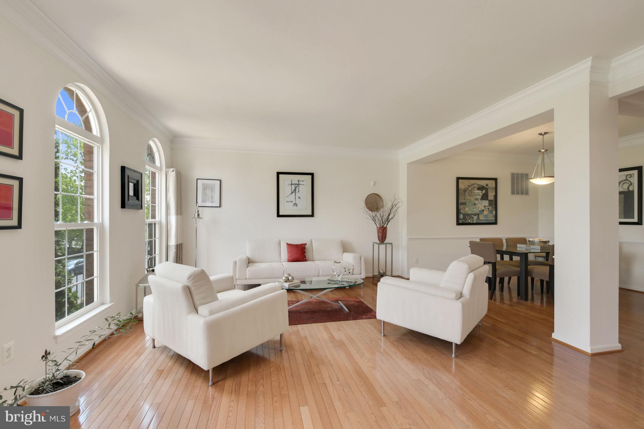 25523 Beresford Drive Chantilly, VA 20152 - Photo 4 of 48 Open and Bright Living Room