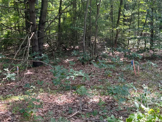 $350,000 | 6440 Gaslight Lane, Saugatuck, MI 49453