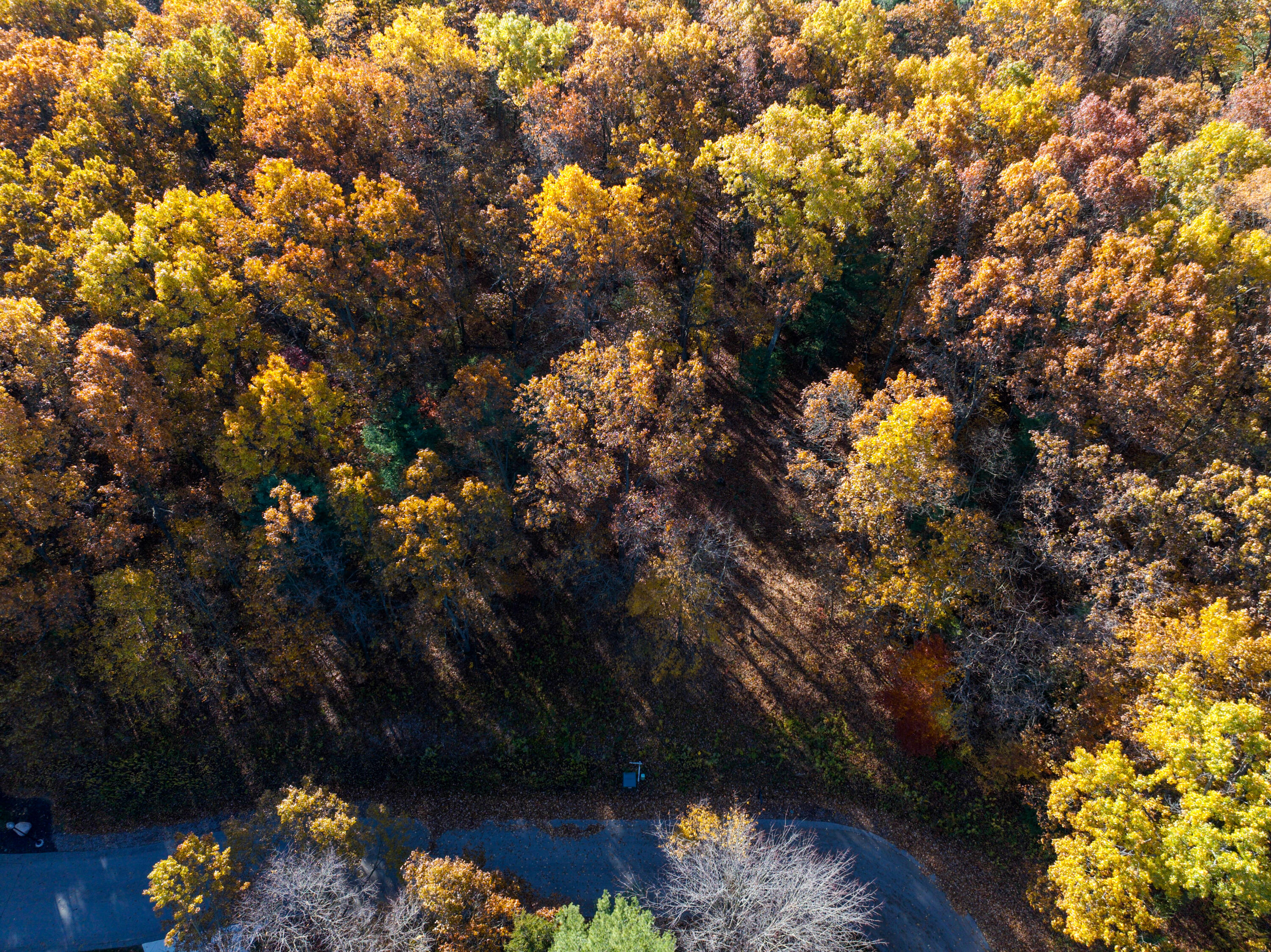 6440 Gaslight Lane Saugatuck, MI 49453 - Photo 6 of 7 Overhead drone photo.