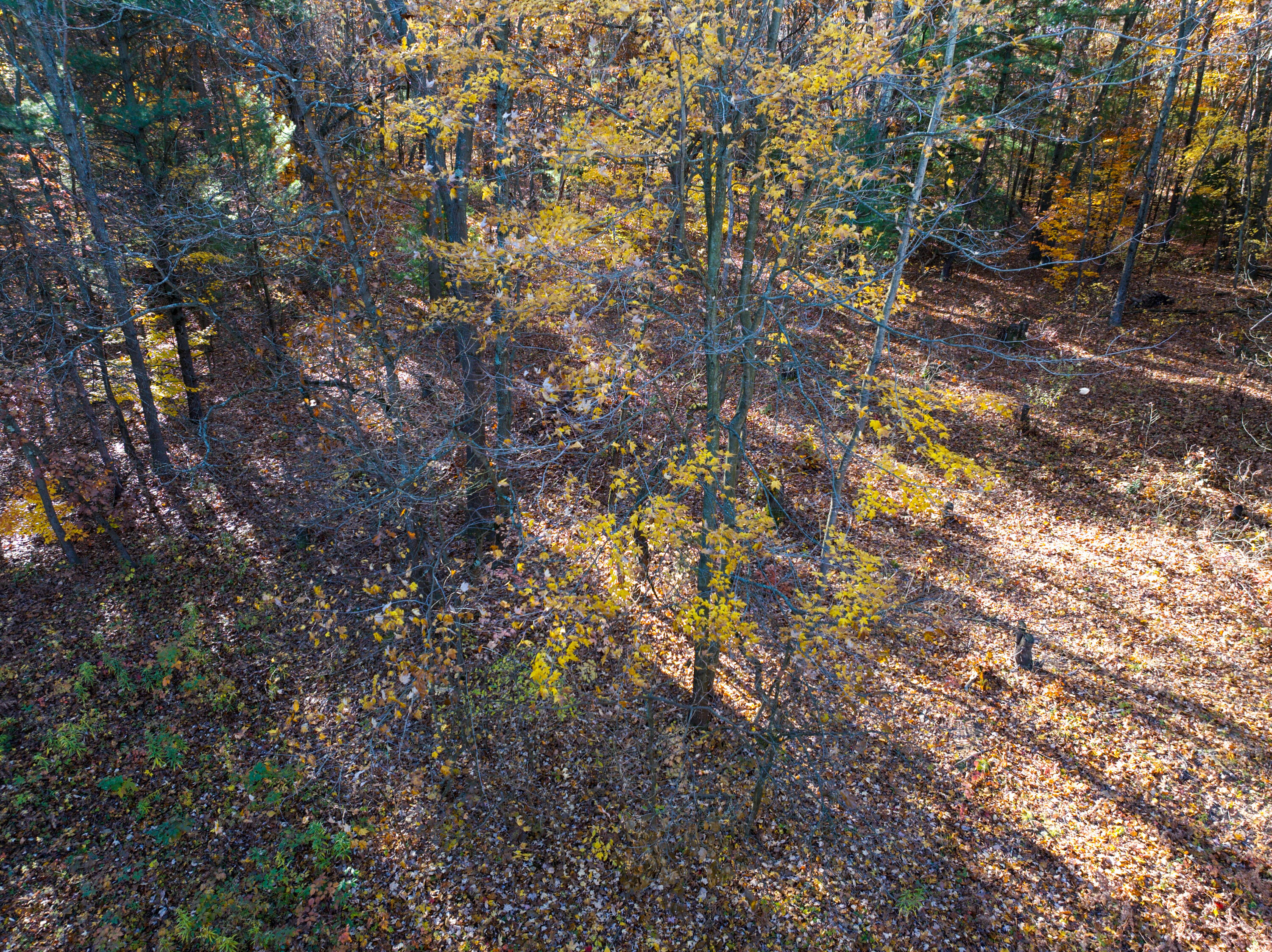 6440 Gaslight Lane Saugatuck, MI 49453 - Photo 7 of 7 Overhead drone photo