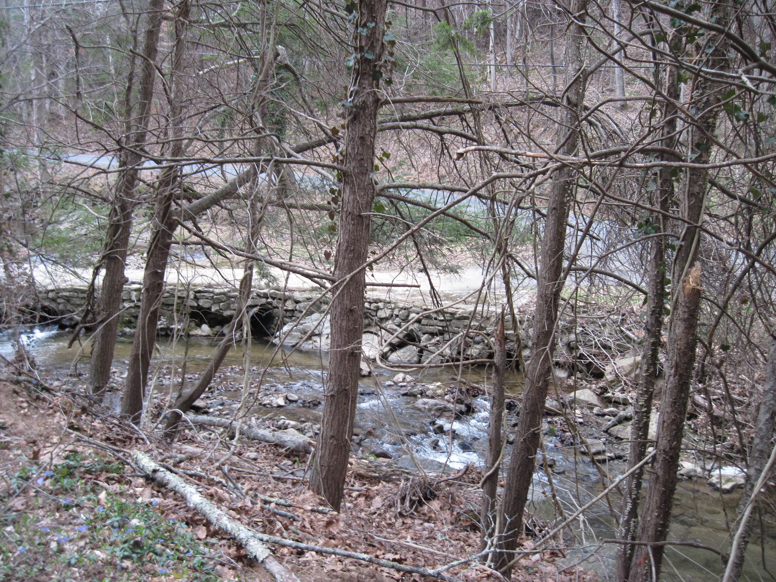 6524 Poage Valley Rd Extension Roanoke, VA 24018 - Photo 13 of 55 2017-03-06 16.40.03