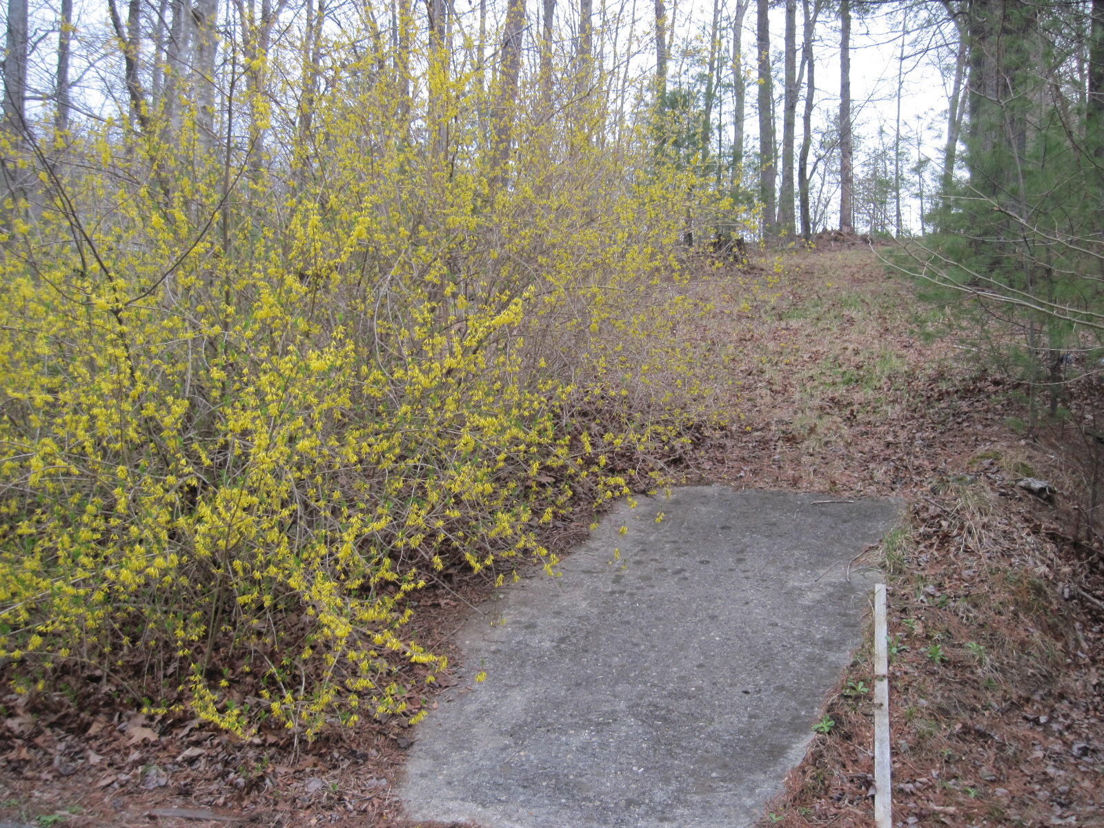 6524 Poage Valley Rd Extension Roanoke, VA 24018 - Photo 54 of 55 2017-03-06 17.00.22