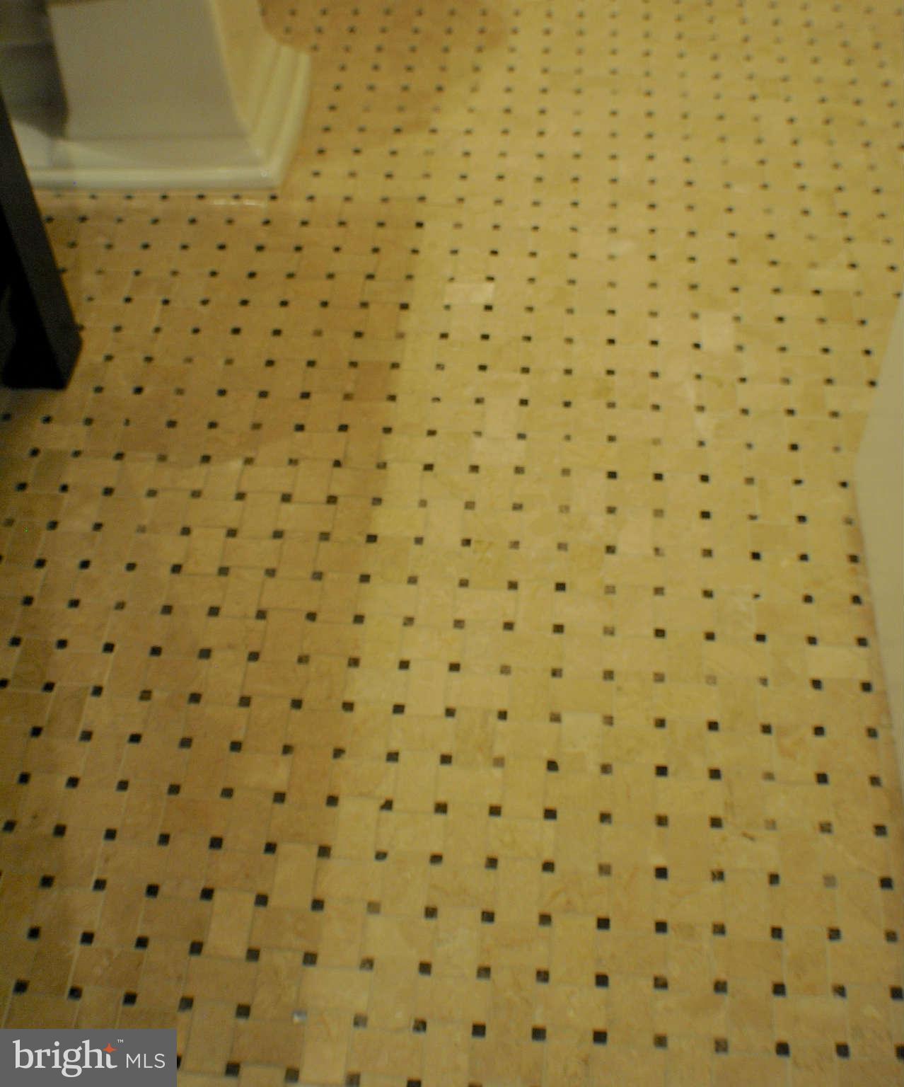 1219 Portner Road Alexandria, VA 22314 - Photo 20 of 27 New Marble Flooring