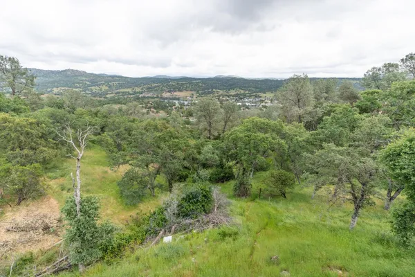 a view of a green field with lots of trees