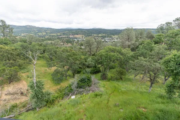 a view of a forest with lush green forest