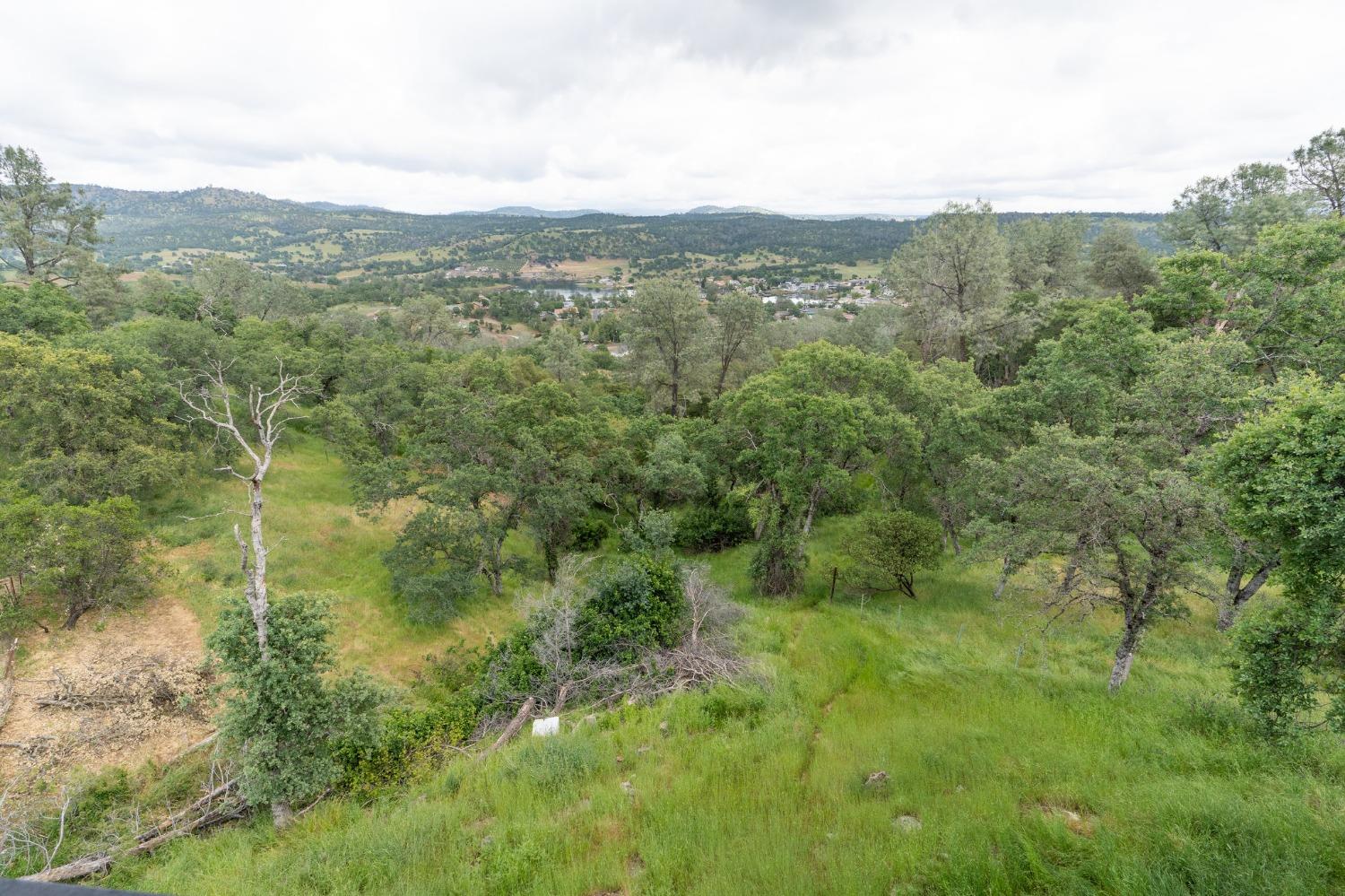 4855 Bayview Drive Copperopolis, CA 95228 - Photo 14 of 37 a view of a forest with lush green forest