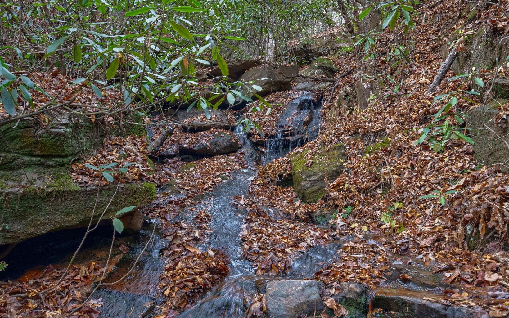 2015 Old Parker Pl Road Ellijay, GA 30536 - Photo 4 of 65 Additional View