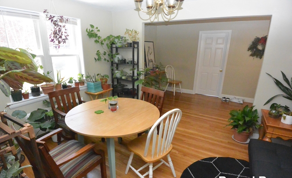 271 Corey Road, Unit 271 Boston, MA 02135 - Photo 7 of 11