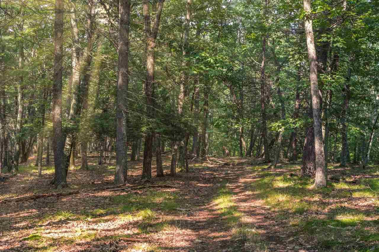 Tbd Station Road Hurley, NY 12443 - Photo 6 of 21 Photo 6