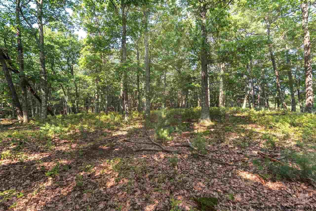 Tbd Station Road Hurley, NY 12443 - Photo 7 of 21 Photo 7