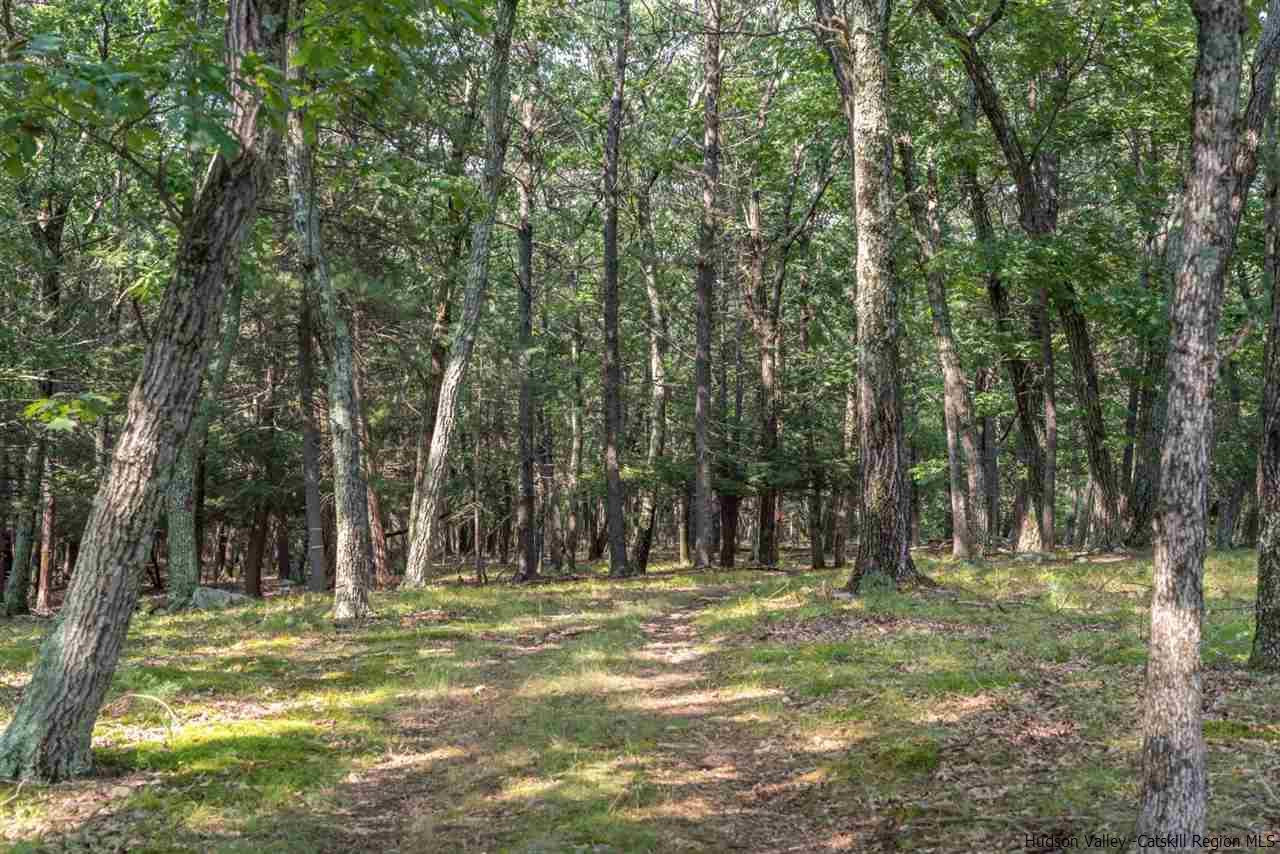 Tbd Station Road Hurley, NY 12443 - Photo 8 of 21 Photo 8