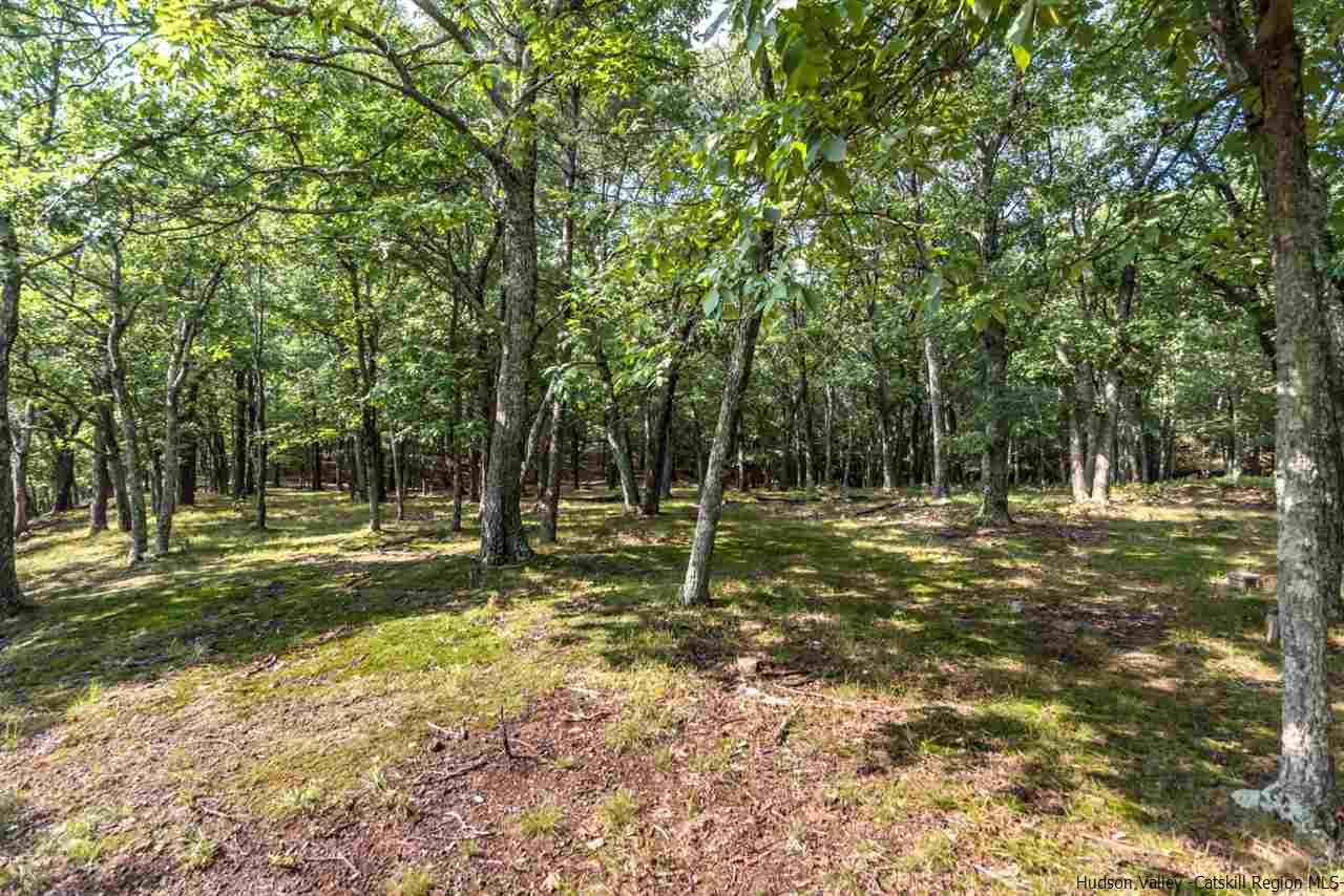 Tbd Station Road Hurley, NY 12443 - Photo 9 of 21 Photo 9
