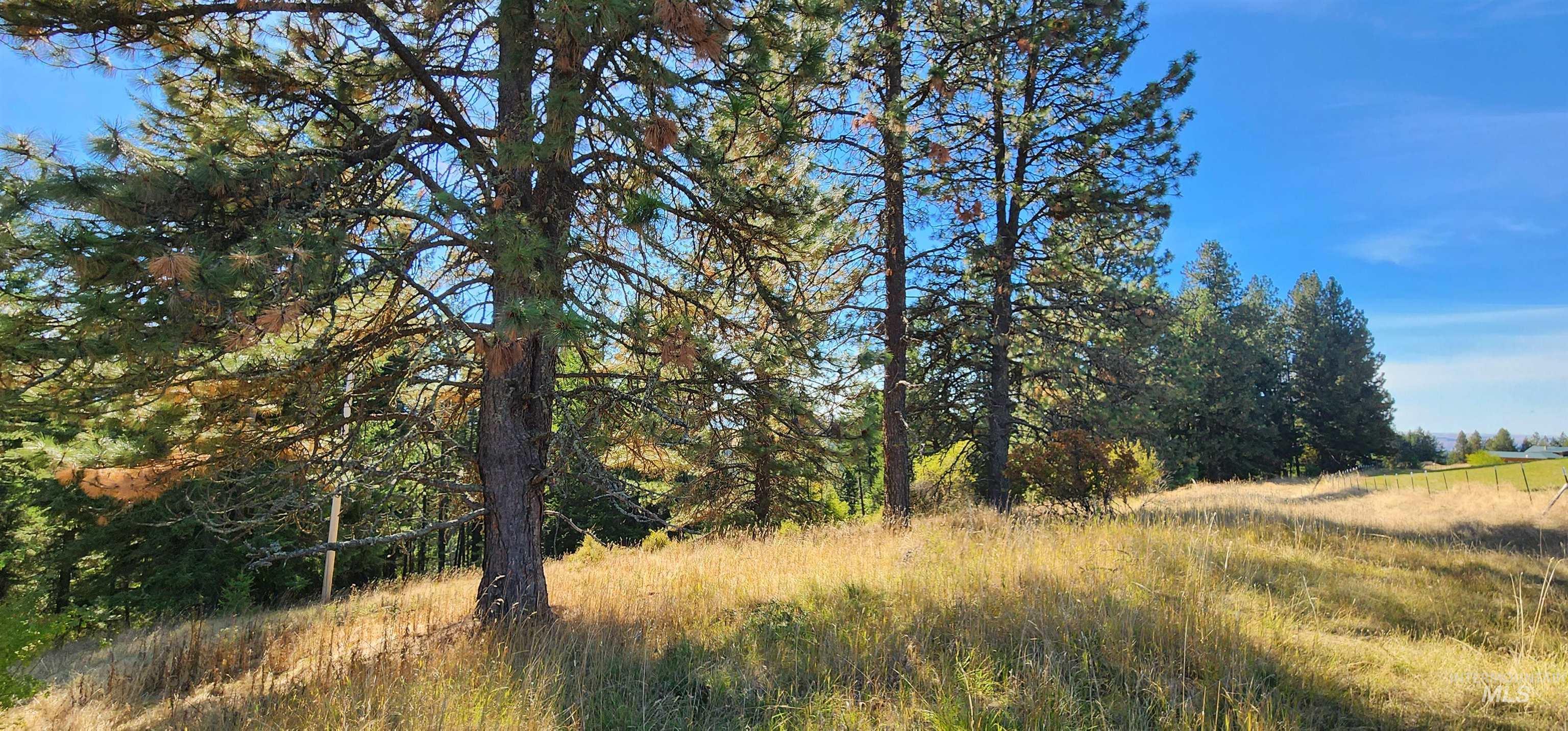 Tbd Red Fir Road Kooskia, ID 83539 - Photo 4 of 34