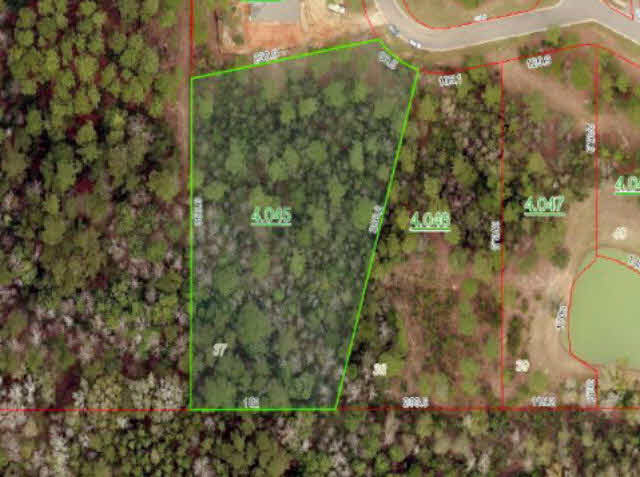 37 Paddle Creek Loop Fairhope, AL 36532 - Photo 10 of 11