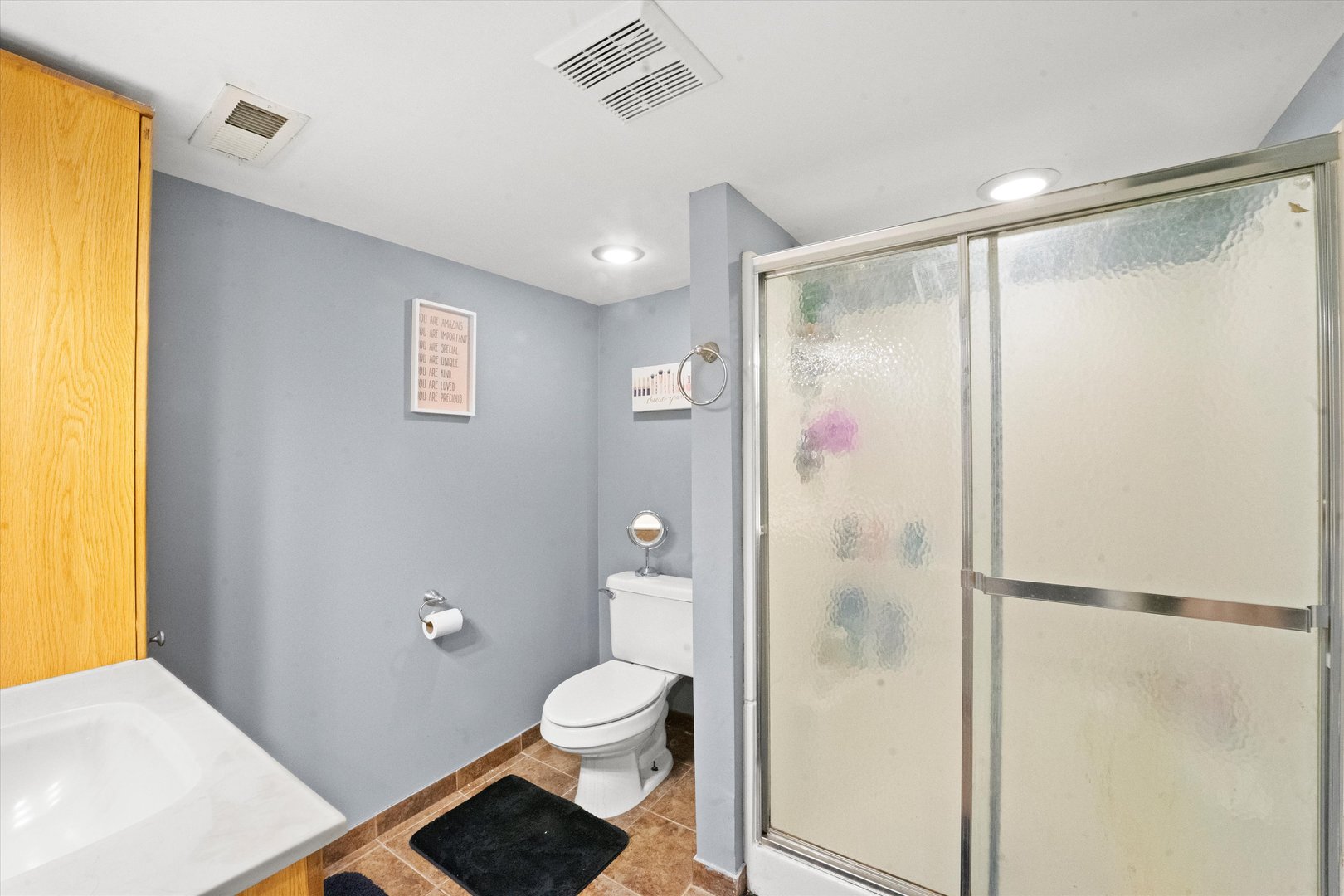 509 Spring Street Roselle, IL 60172 - Photo 18 of 31 a bathroom with a shower and a toilet