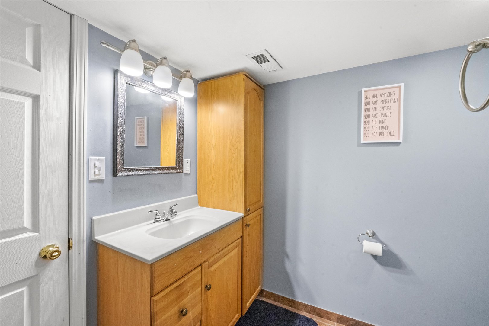 509 Spring Street Roselle, IL 60172 - Photo 19 of 31 a bathroom with a sink and a mirror