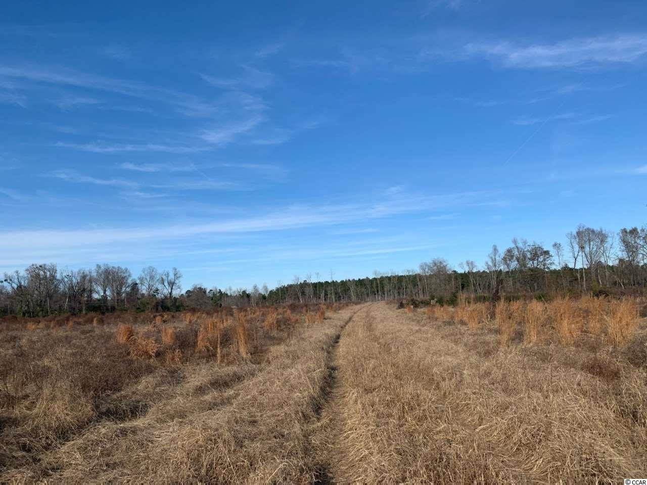 Lot G Old Flowers Road Johnsonville, SC 29555 - Photo 1 of 1 Gallery Image 1