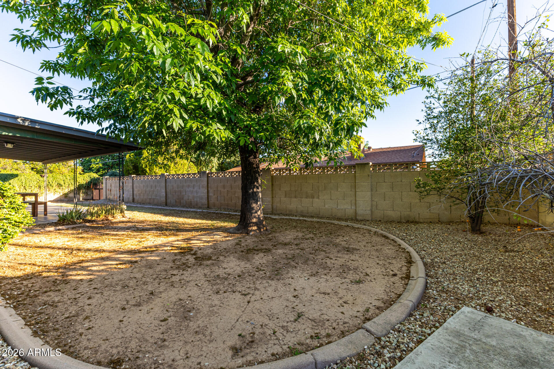 1649 West Royal Palm Road Phoenix, AZ 85021 - Photo 26 of 32 a view of a backyard with large trees