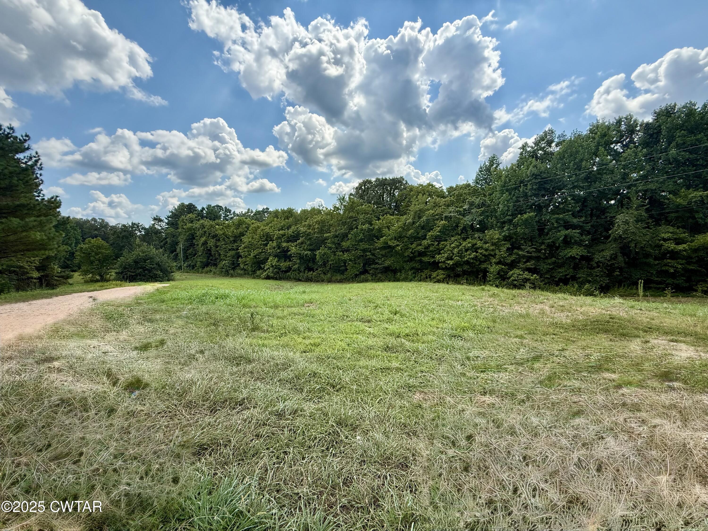 390 Emerson Road Gates, TN 38037 - Photo 3 of 54 Private Yard