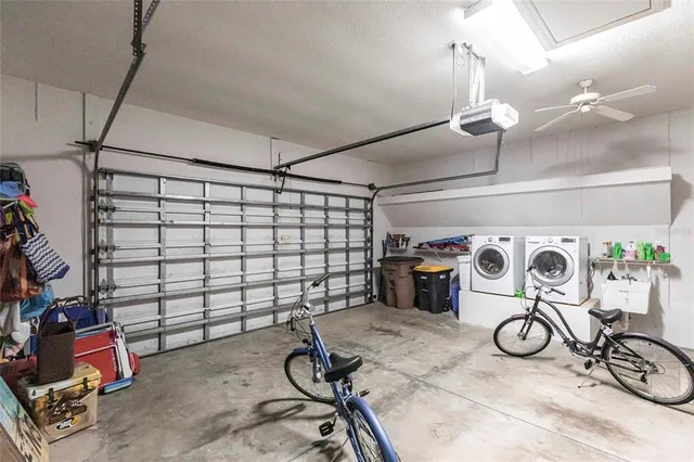 a view of a park with large trees