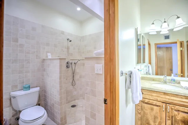 a aerial view of a house with a garden