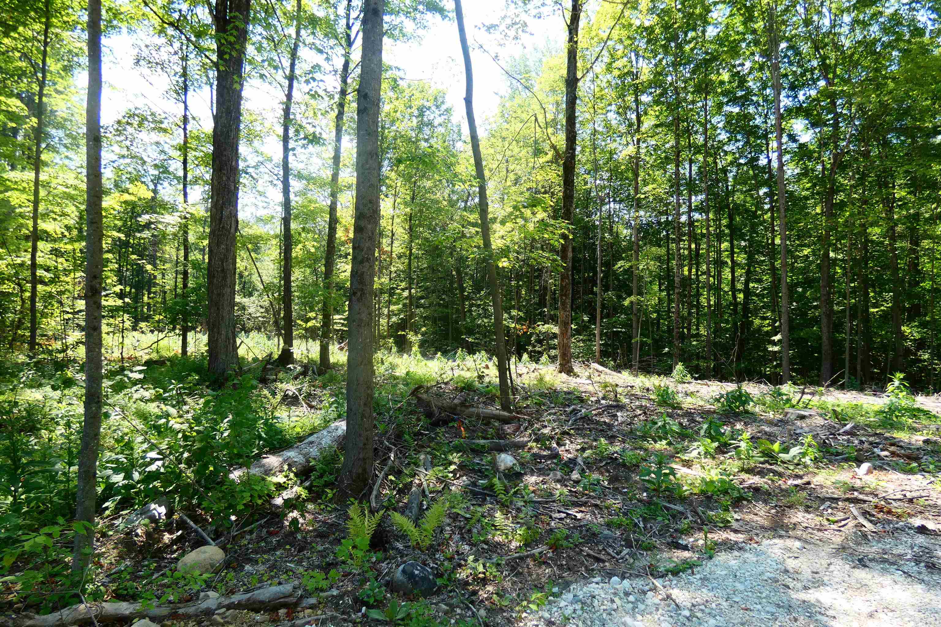 Tbd Lower Plains Road, Unit 5 Salisbury, VT 05769 - Photo 3 of 8