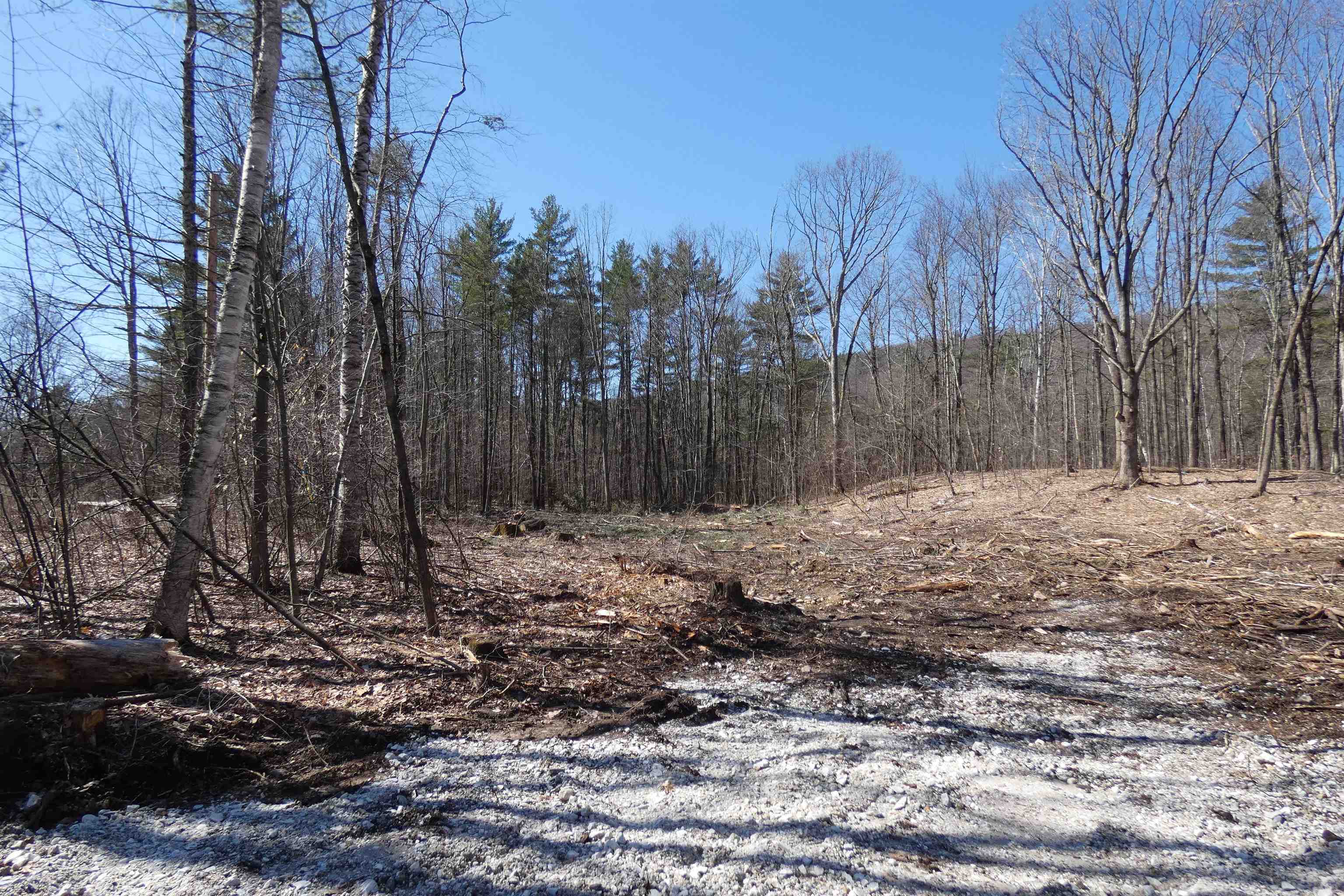 Tbd Lower Plains Road, Unit 5 Salisbury, VT 05769 - Photo 4 of 8