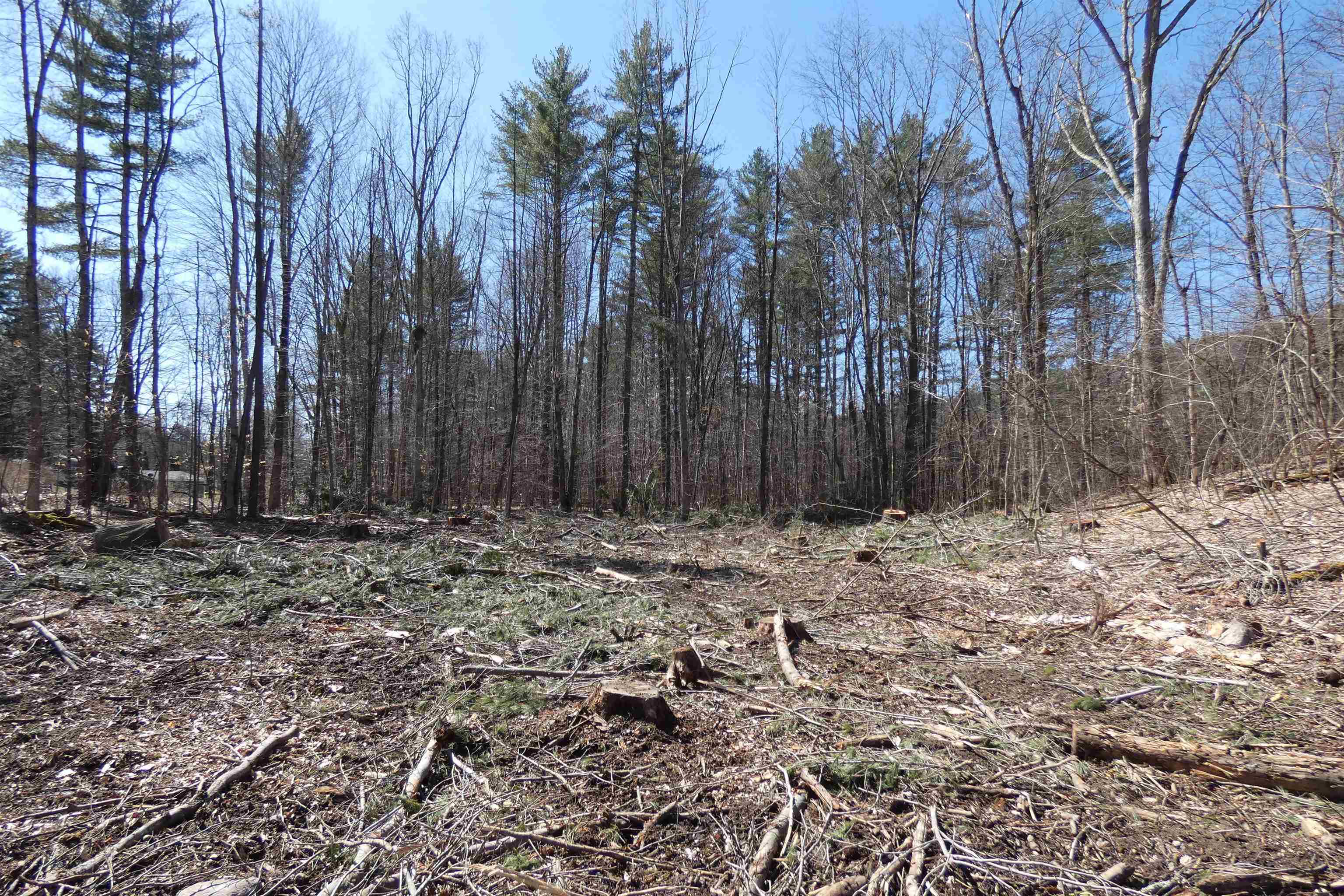 Tbd Lower Plains Road, Unit 5 Salisbury, VT 05769 - Photo 7 of 8
