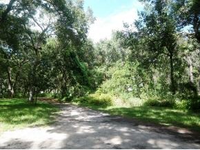 4000 Hammock Road Mims, FL 32754 - Photo 11 of 11 Additional Photo