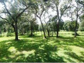 4000 Hammock Road Mims, FL 32754 - Photo 10 of 11 Additional Photo