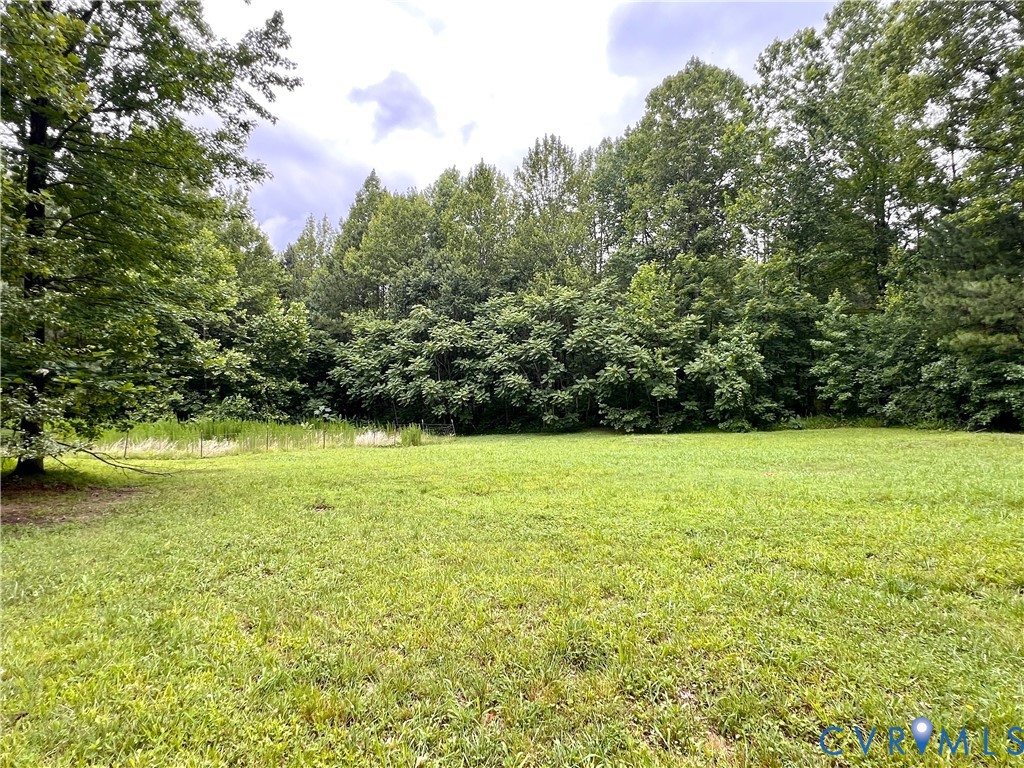 2049 Riddle Road Blackstone, VA 23824 - Photo 7 of 41 a view of a yard with an outdoor space