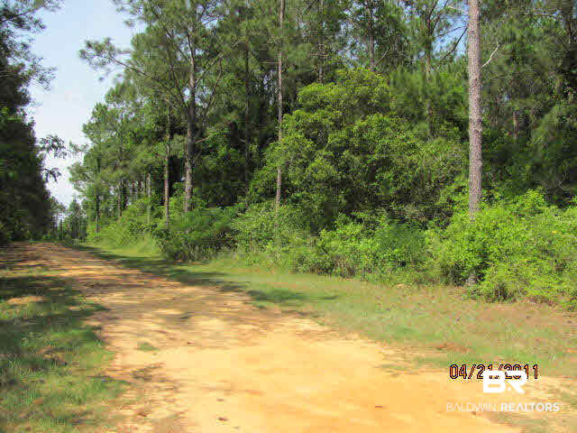 0 North Southworth Road North Summerdale, AL 36580 - Photo 2 of 2 Additional View