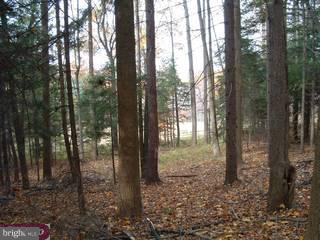 Lot 1 Merlin Road Chester Springs, PA 19425 - Photo 2 of 4 Gallery Image 2
