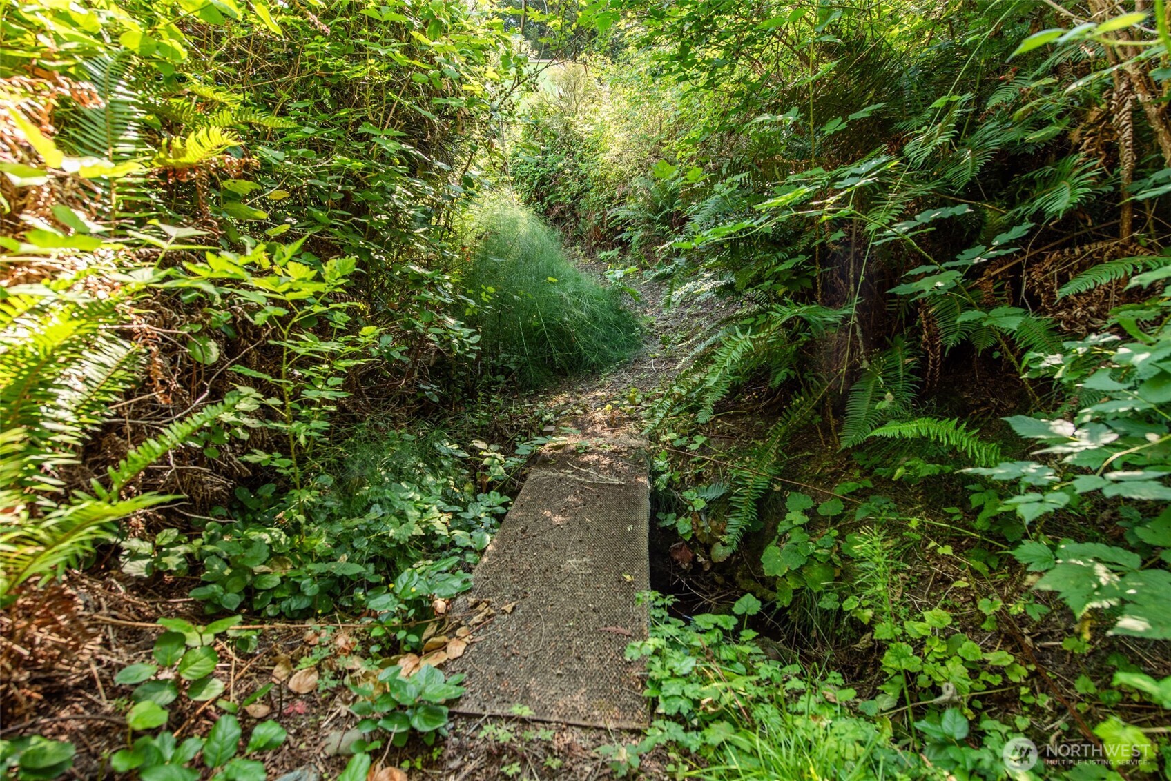 681 Bachelor Road Sequim, WA 98382 - Photo 33 of 39 a picture of plants