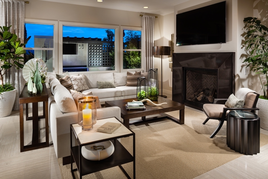 2491 Wellspring Street Carlsbad, CA 92010 - Photo 6 of 15