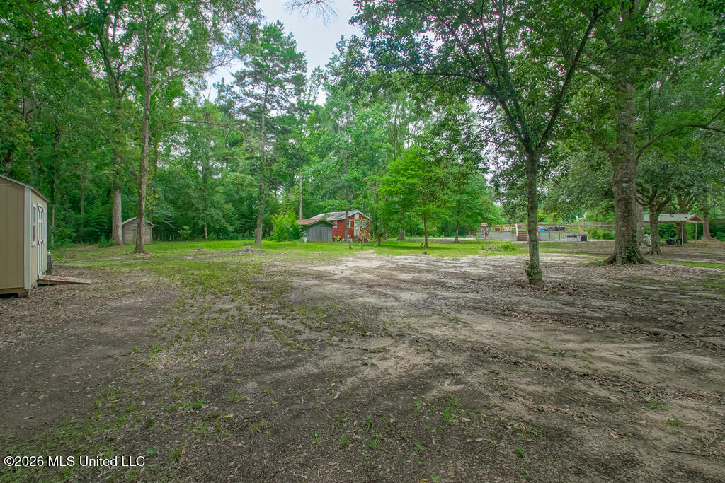 557 Walkiah Blf Road Picayune, MS 39466 - Photo 38 of 53 N_Rear2