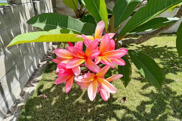 $1,299,000 | 51-452 Kamehameha Highway, Kaaawa, HI 96730