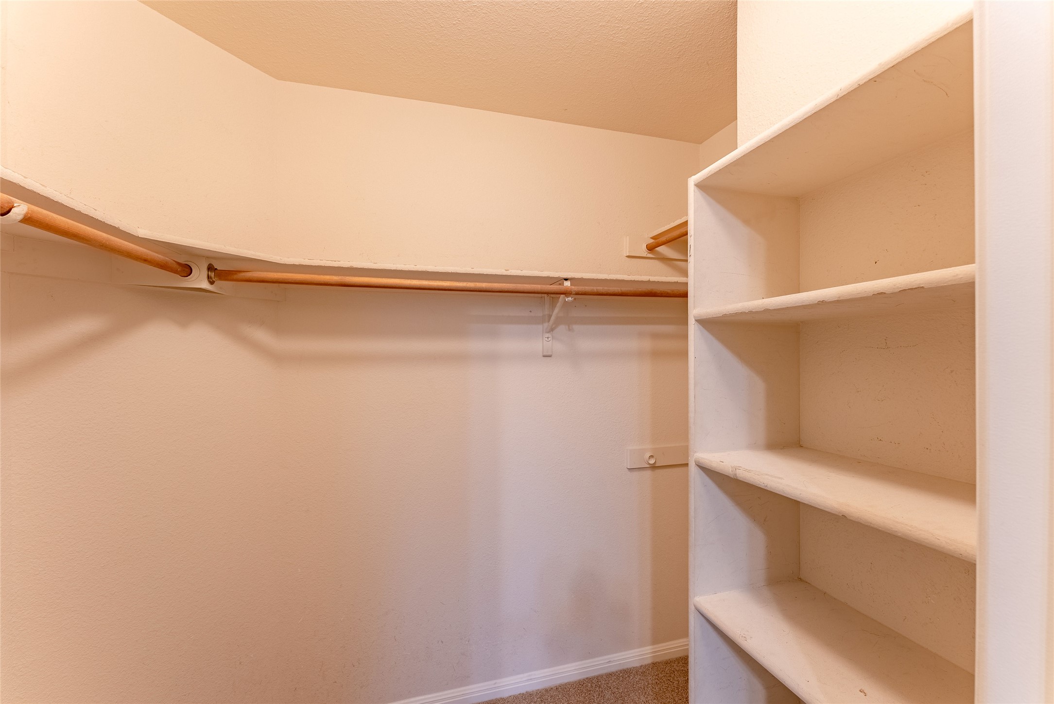 109 Granite Shoals Drive Kyle, TX 78640 - Photo 14 of 22 a view of walk in closet with empty racks