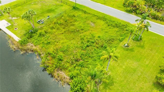 a view of a big yard with plants and a large tree