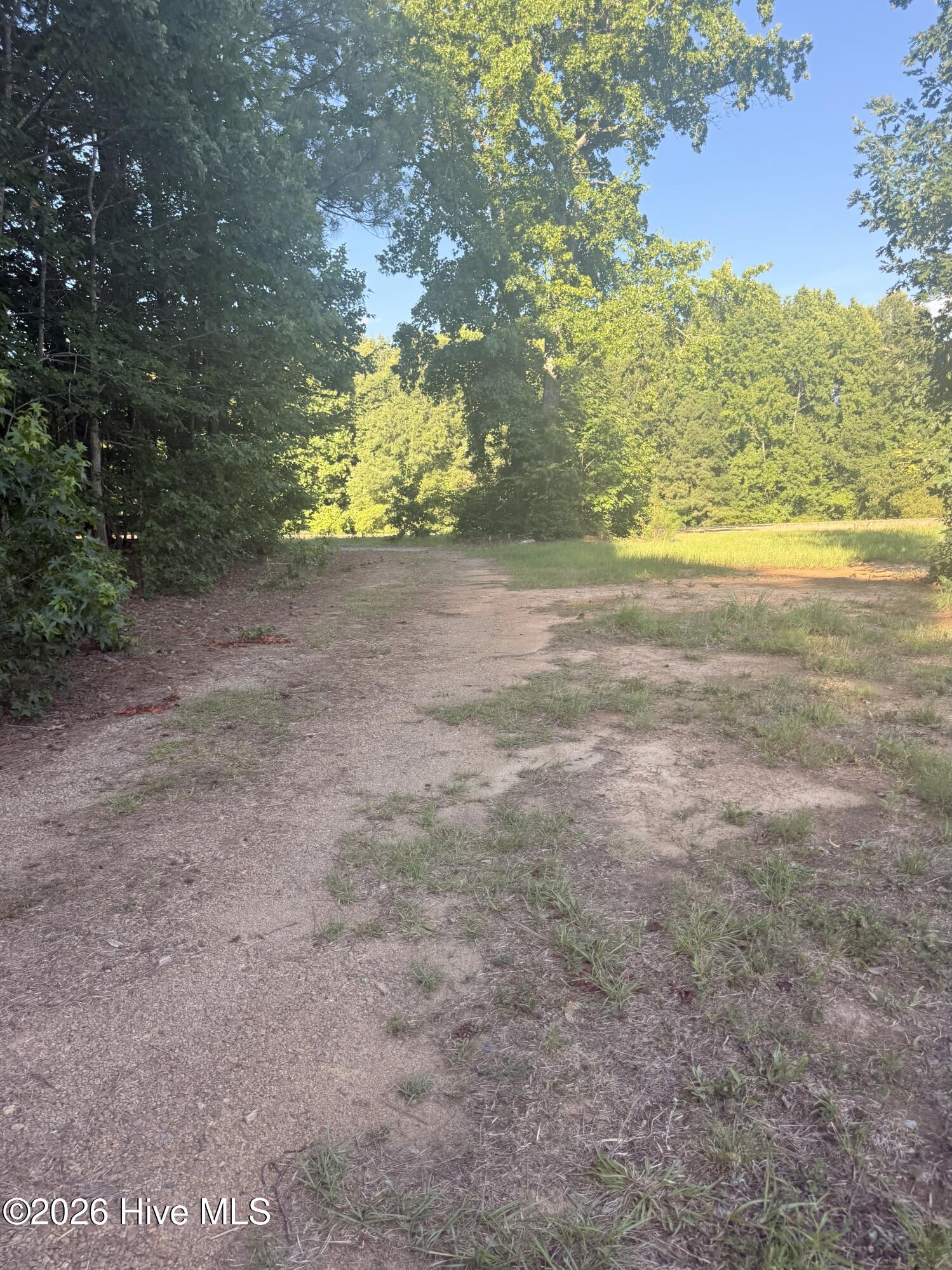 605 Big Woods Road Macon, NC 27551 - Photo 5 of 37
